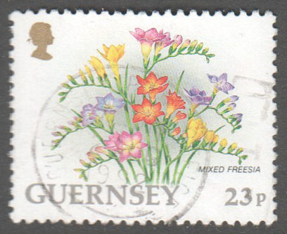 Guernsey Scott 488 Used - Click Image to Close
